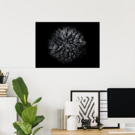 Blume im Garten in Schwarz und Weiß Nr. 68 Poster