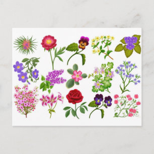 Blume im Garten Taschenkalender Postkarte
