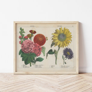 Blume im Herbst   Charlotte Mary Yonge Poster