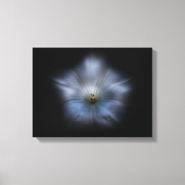 Blume im Hintergrund 24 Farbflussversion Leinwanddruck