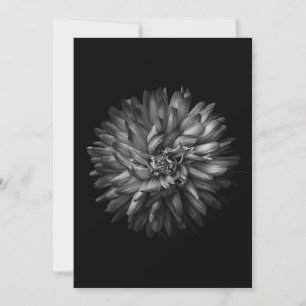 Blume im Hintergrund in Schwarz und Weiß 20
