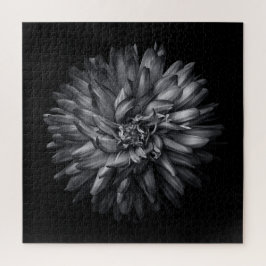 Blume im Hintergrund in Schwarz und Weiß 20