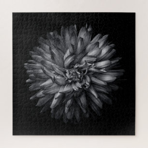 Blume im Hintergrund in Schwarz und Weiß 20