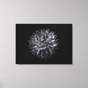 Blume im Hintergrund in Schwarz und Weiß 20 Leinwanddruck