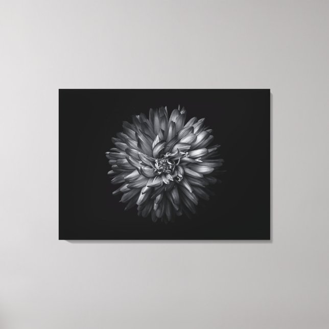 Blume im Hintergrund in Schwarz und Weiß 20 Leinwanddruck (Vorderseite)
