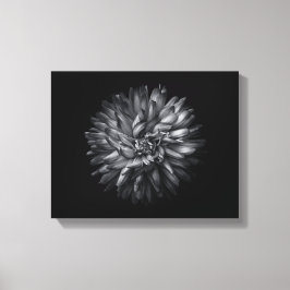 Blume im Hintergrund in Schwarz und Weiß 20 Leinwanddruck