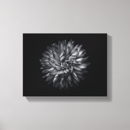 Blume im Hintergrund in Schwarz und Weiß 20 Leinwanddruck
