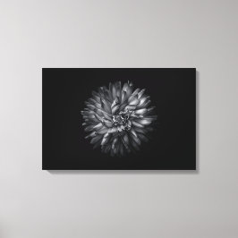Blume im Hintergrund in Schwarz und Weiß 20 Leinwanddruck