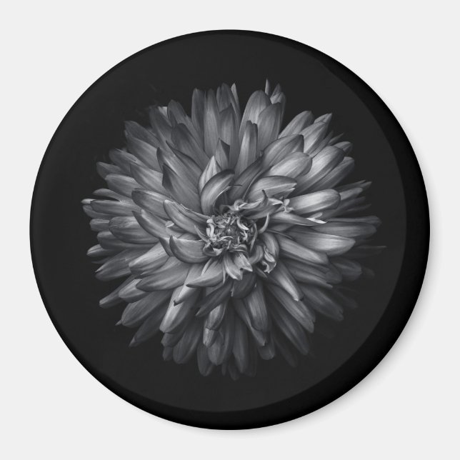 Blume im Hintergrund in Schwarz und Weiß 20 Magnet (Vorne)