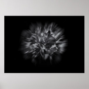 Blume im Hintergrund in Schwarz und Weiß 25 Flow Poster