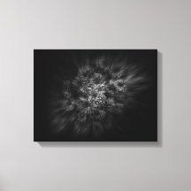 Blume im Hintergrund in Schwarz und Weiß 29 Flow