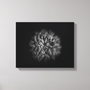 Blume im Hintergrund in Schwarz und Weiß 48 Flow Leinwanddruck