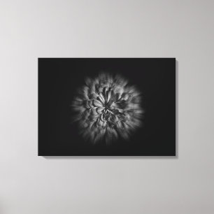 Blume im Hintergrund in Schwarz und Weiß 48 Flow Leinwanddruck