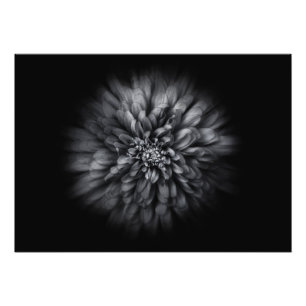 Blume im Hintergrund in Schwarz und Weiß Nr. 68 Fotodruck