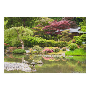 Blume im japanischen Garten, Fotodruck
