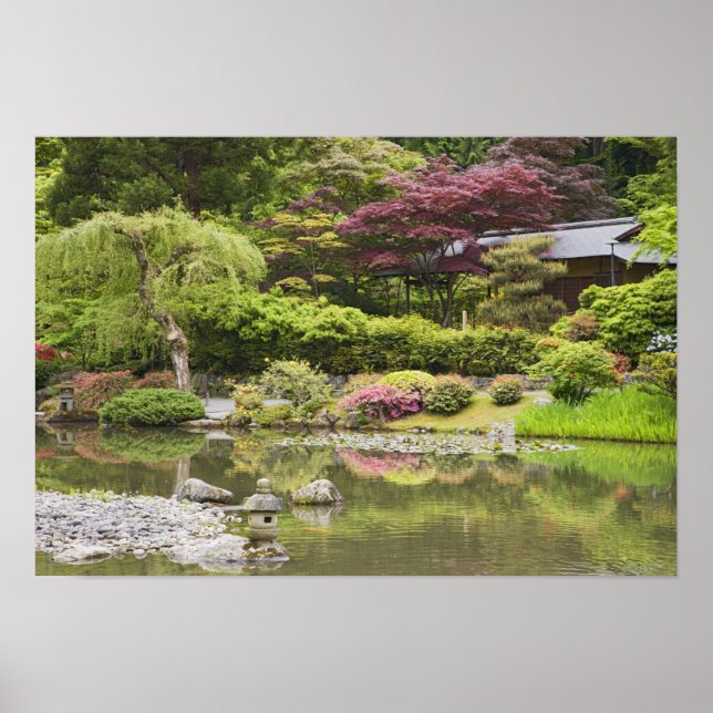 Blume im japanischen Garten, Poster (Vorne)