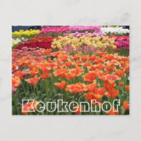 Blume im Keukenhof, orange, gelb und rot