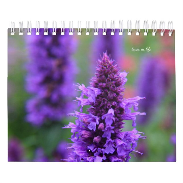Blume im lila Garten Kalender (Titelbild)