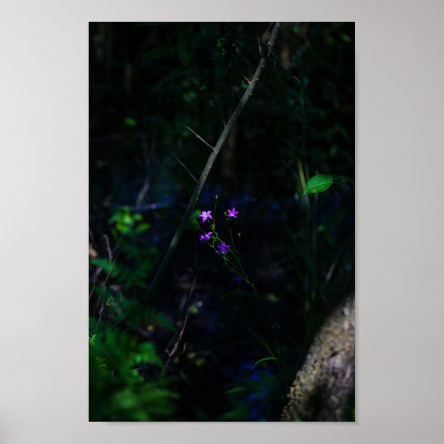 Blume im Lila Wasserwald Fern Poster (Vorne)
