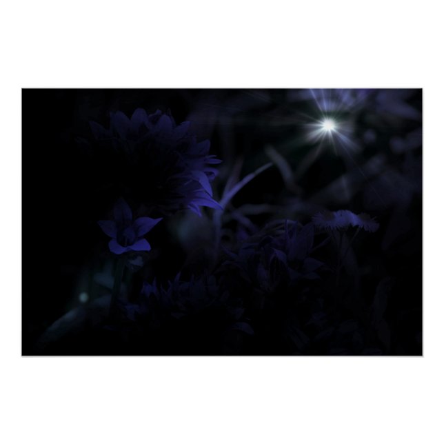 Blume im Mondlicht Poster (Vorderseite)