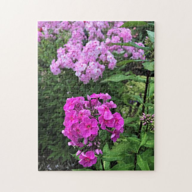 Blume im Weingut Chateau Morrisette, Floyd, VA (Vertikal)