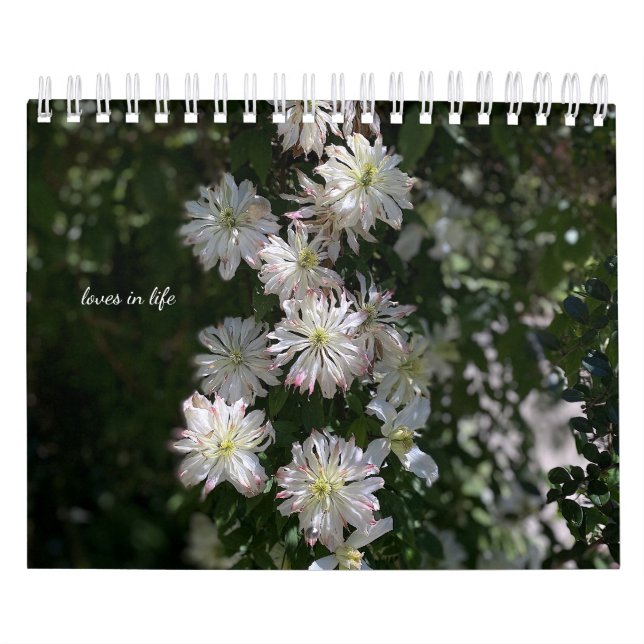 Blume im Weißen Garten Kalender (Titelbild)