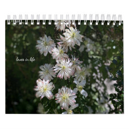 Blume im Weißen Garten Kalender