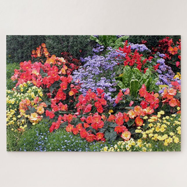 Blume in Anchorage, Alaska, USA (Horizontal)