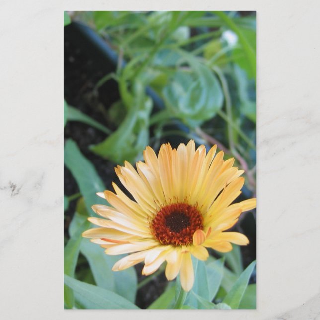 Blume in Blätter zwei Briefpapier (Vorderseite)