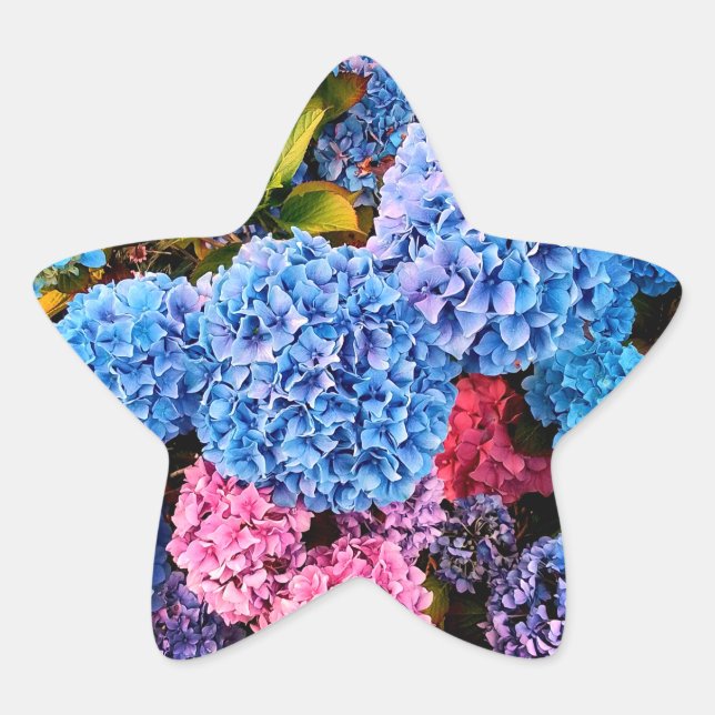 Blume in Blau und Rosa Stern-Aufkleber (Vorderseite)