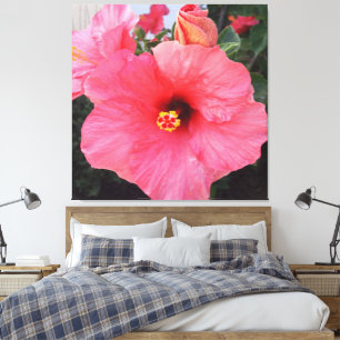 Blume in Chania Kreta, Griechenland Leinwanddruck