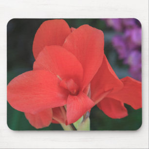 Blume in den Gärten des D. Carlos I Mousepad