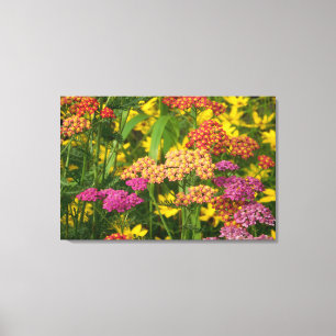 Blume in den Gärten überzogen Canvas drucken Leinwanddruck