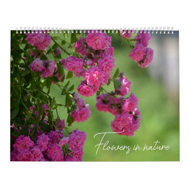 Blume in der Natur Kalender (Titelbild)