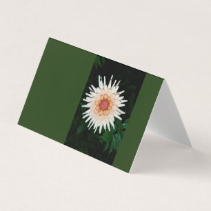 Blume in einer coolen Nacht