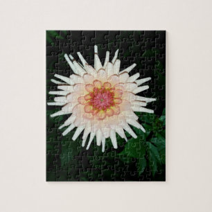 Blume in einer coolen Nacht