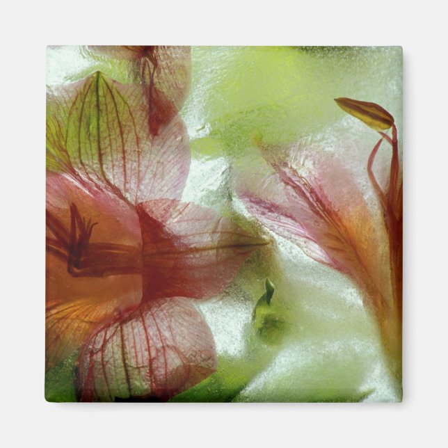 Blume in Eis Magnet (Vorne)