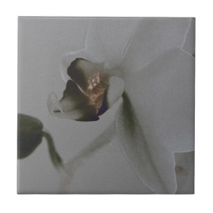 Blume in Grau Fliese