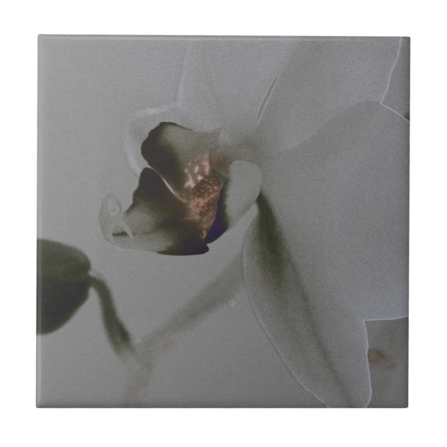 Blume in Grau Fliese (Vorderseite)