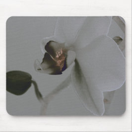 Blume in Grau Mousepad
