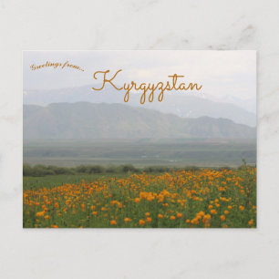 Blume in Kirgisistan Postkarte