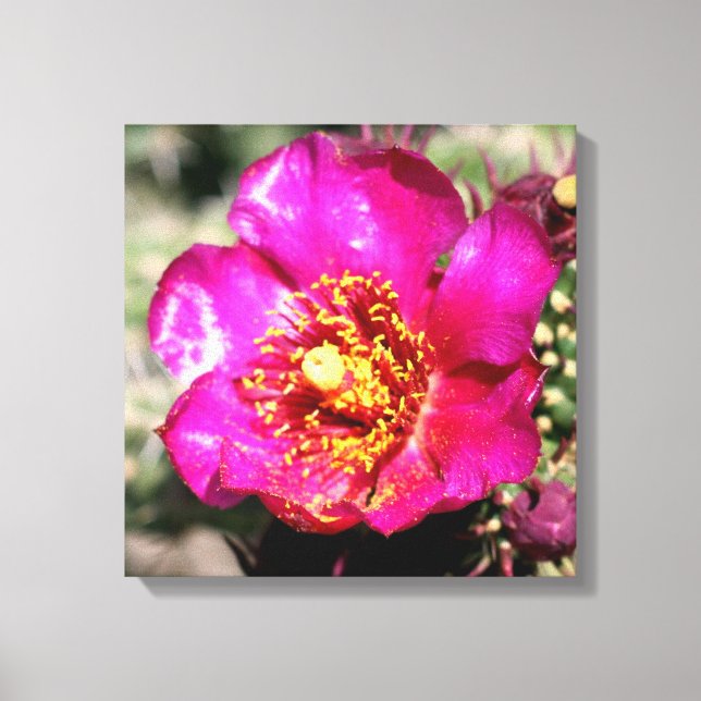 Blume in Leinwand umwickelt (Vorderseite)
