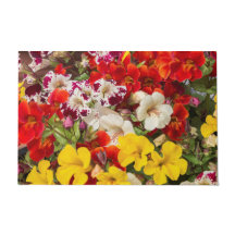 Blume in leuchtenden Farben