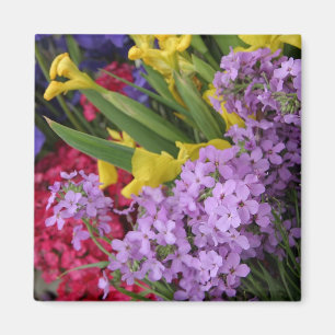 Blume in mehreren Farben Magnet