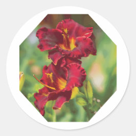 Blume in Rot und Gelb Runder Aufkleber
