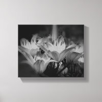 Blume in Schwarz und Weiß