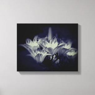 Blume in Schwarz und Weiß Leinwanddruck