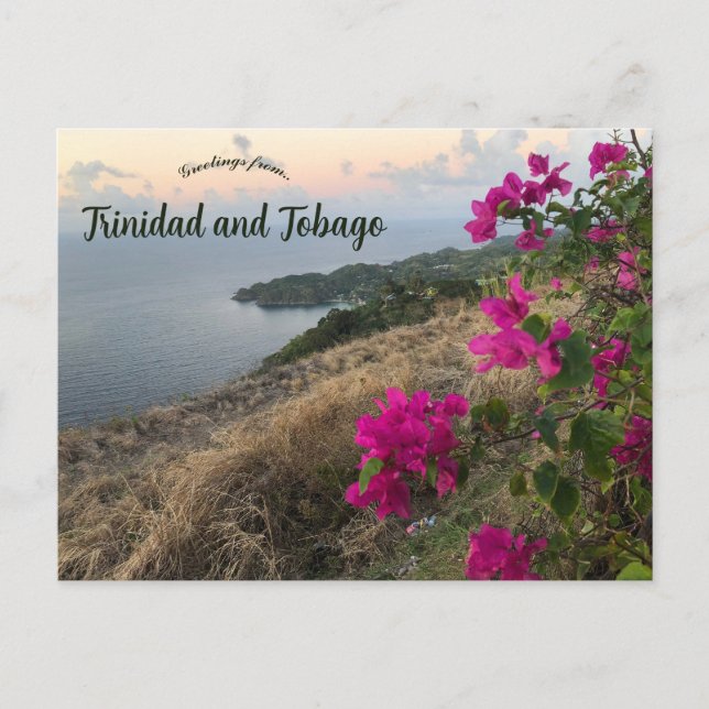 Blume in Trinidad und Tobago Postkarte (Vorderseite)