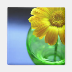 Blume in Vase Magnet