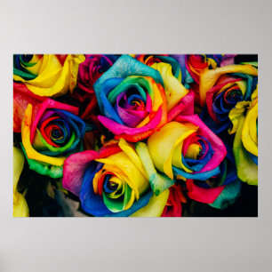 Blume in verschiedenen Farben Poster